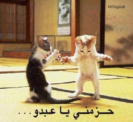 hazimni ya 3abdo